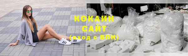 молекула духа Гусев