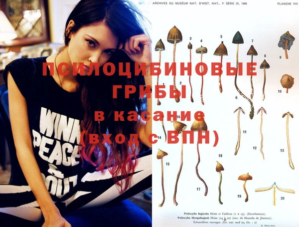молекула духа Гусев
