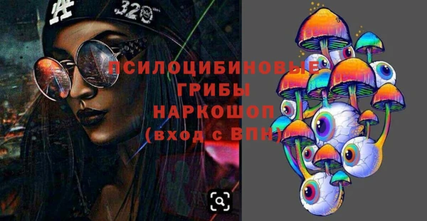 2c-b Гусиноозёрск