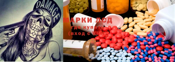 молекула духа Гусев