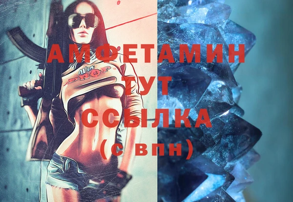 молекула духа Гусев