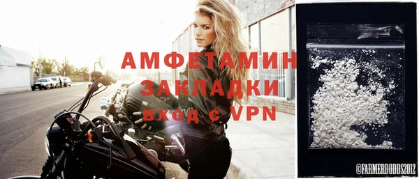 молекула духа Гусев