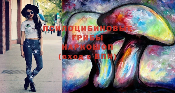 2c-b Гусиноозёрск