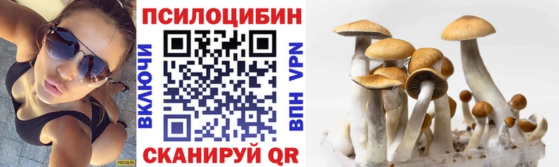 Купить  Карачев  Псилоцибиновые грибы MAGIC MUSHROOMS 